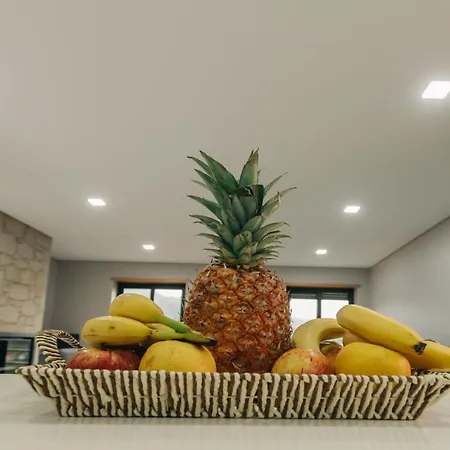 Lamegos